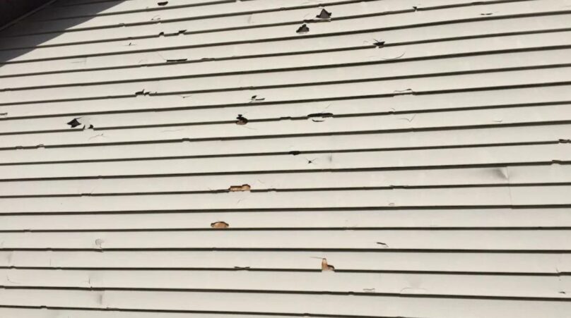 Can you Paint Damaged Siding?