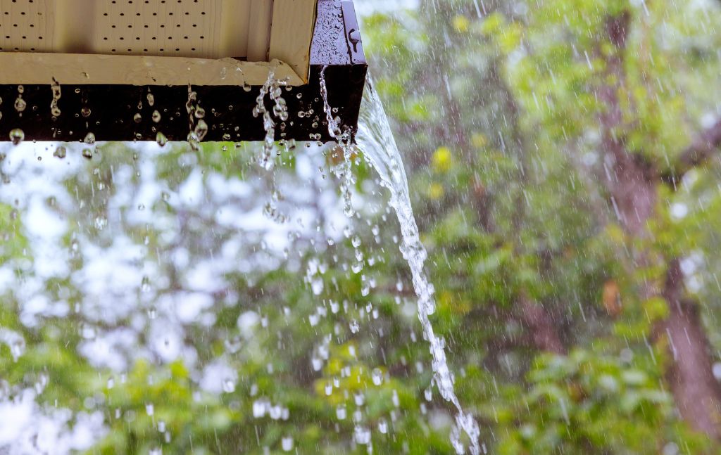 Avoiding Water Damage How Professional Gutter Services Can Safeguard Your Home