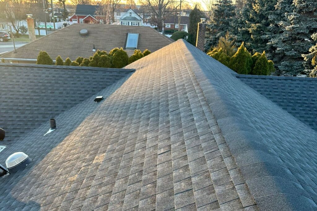 Project: Shingle Roof Replacement Service in New Plywood