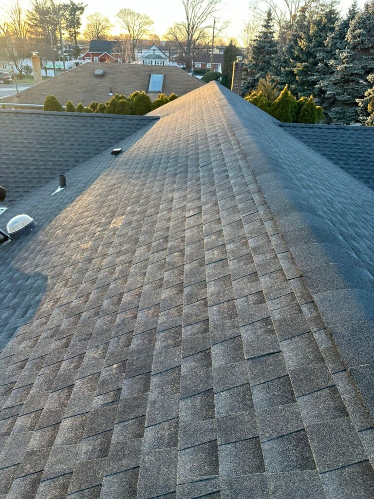 Shingle Roof Replacement Service in New Plywood Project Shot 17