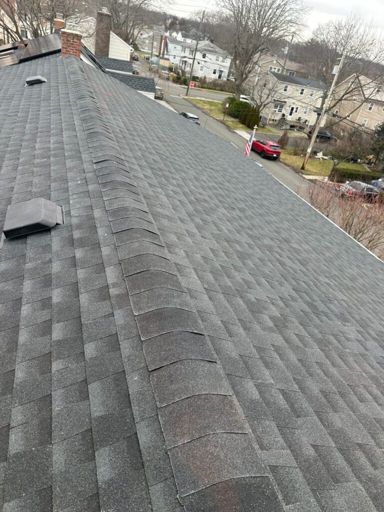 Shingle Roof Replacement Service in New Plywood Project Shot 6