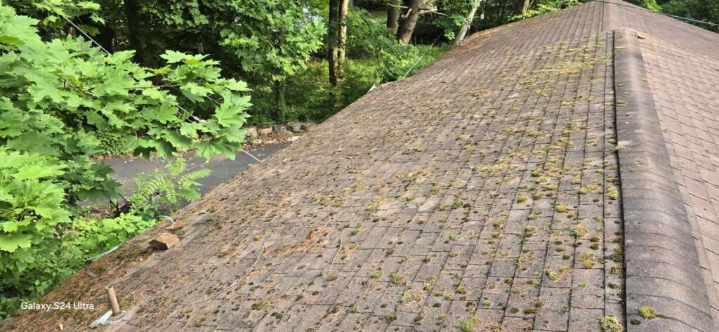 Shingle Roof Replacement in Westchester Project Shot 13