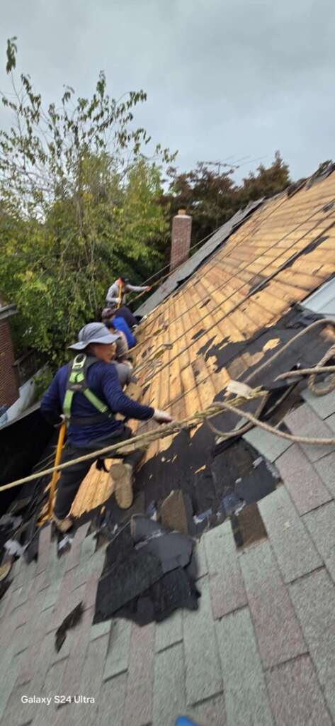 Top-Rated Shingle Roof Replacement Service in the Bronx NYC Project Shot 2