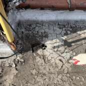 Flat Roof Problems Common in Bronx Homes — and How to Fix Them
