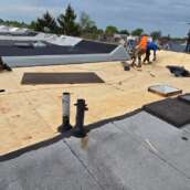Project: Shingle Roof & Gutter Replacement Service Bronx